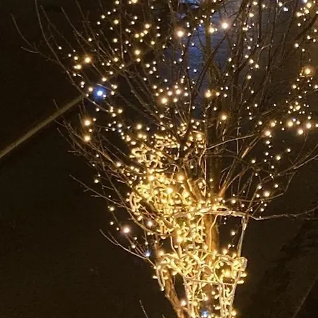 Apartment With A View And Parking