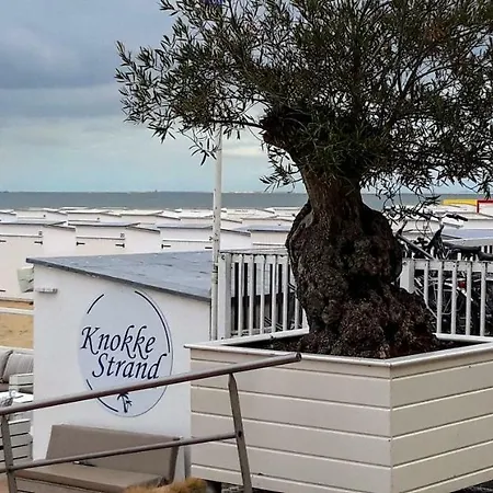 With A View And Parking Apartment Knokke-Heist